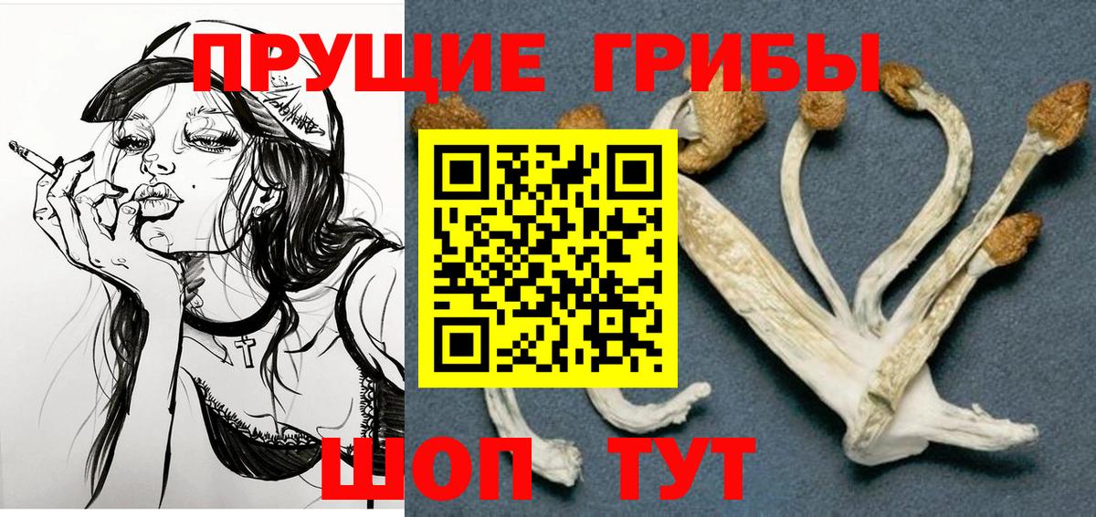 Галлюциногенные грибы Psilocybe  Вход с VPN  Южноуральск  Псилоцибиновые грибы Psilocybe 